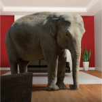 Pricing transparency is the elephant in the room issue for non-bank SME lenders.